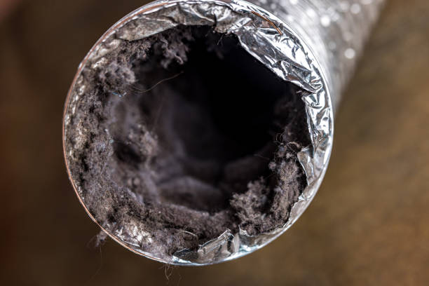 Best HVAC Air Duct Cleaning  in Bridgeport, NE