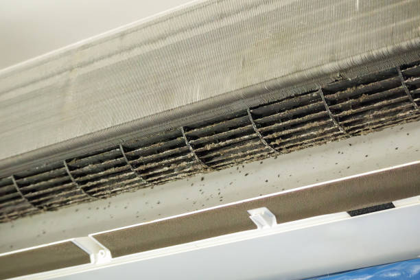 Best Ventilation Cleaning Services  in Bridgeport, NE